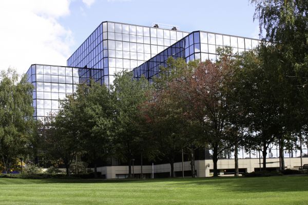 Commercial Tree Trimming in Poughkeepsie