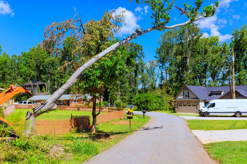 Residential Tree Service detail