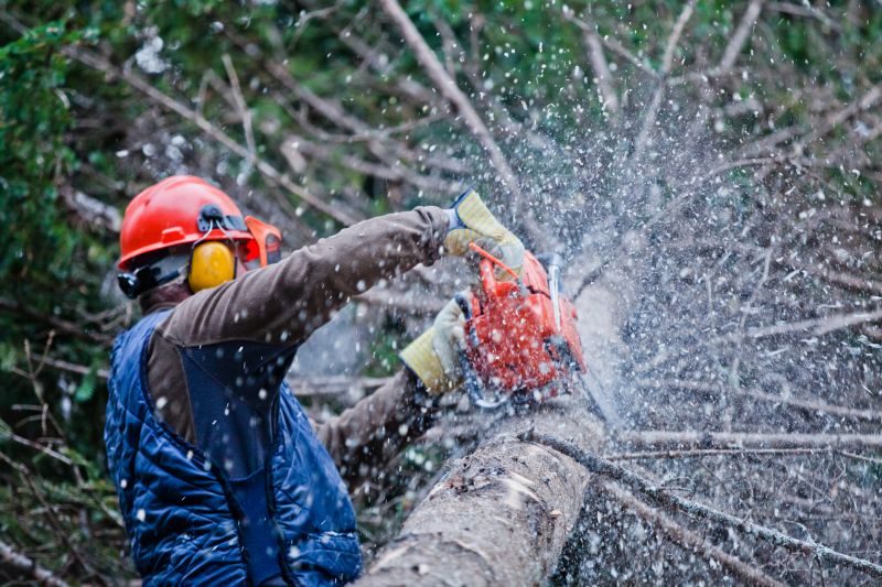 Tree Cutting Service